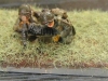 US parachute rifle company4.JPG