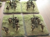 US parachute rifle company8.JPG