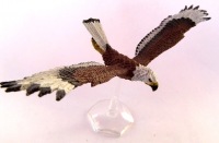Eagle (two)