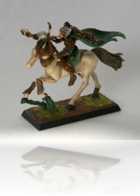 Glader Rider Musician
